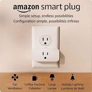 Amazon Smart Plug | Works with Alexa | Simple setup, endless possibilities